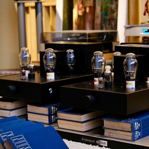 300B Parrallel Single Ended Monoblock.